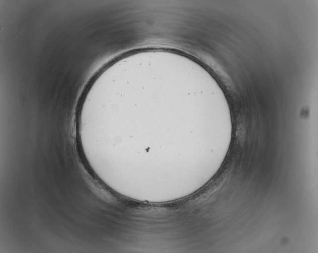 X0000116621372201001081223