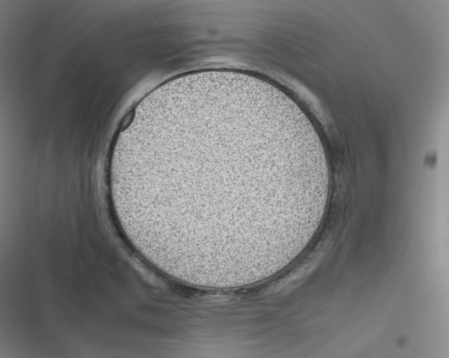 X0000116621373201001081223