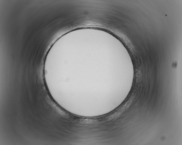 X0000116621374201001081223