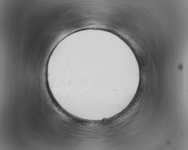 X0000116621375201001081223