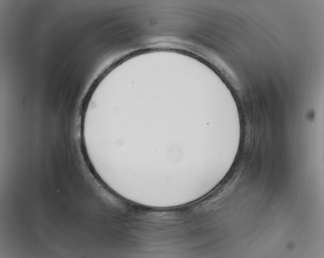 X0000116621376201001081223