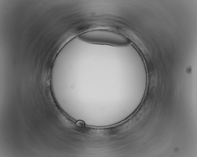 X0000116621377201001081223