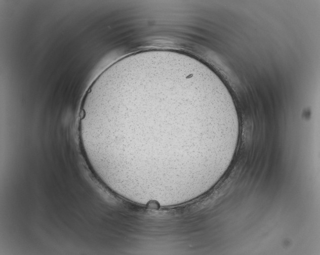 X0000116621378201001081223