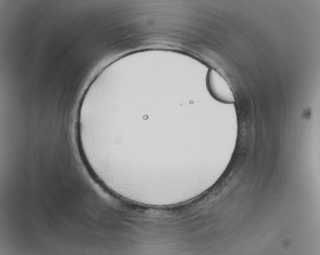 X0000116621379201001081223