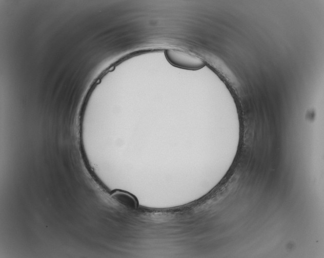 X0000116621380201001081223