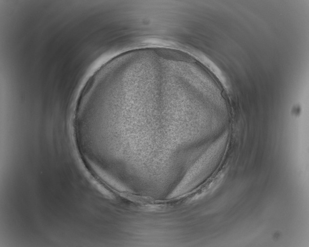 X0000116621381201001081222