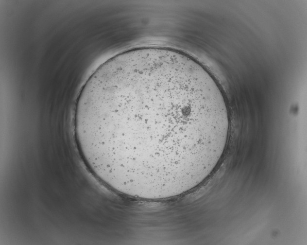 X0000116621382201001081222