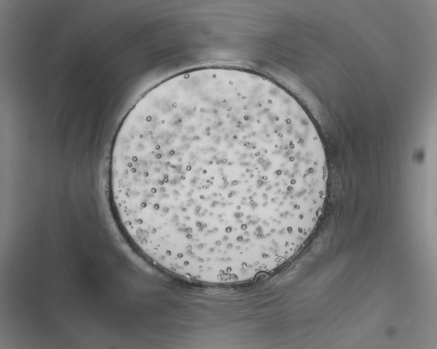 X0000116621383201001081222