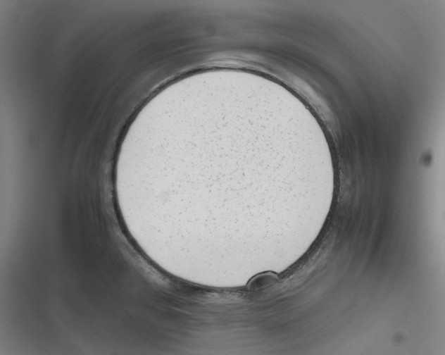 X0000116621384201001081222