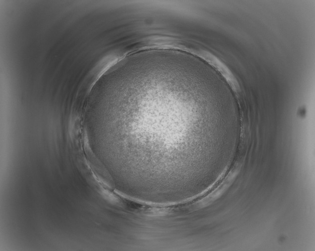 X0000116621385201001081222