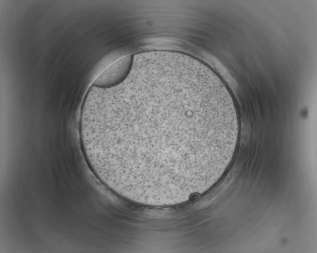 X0000116621386201001081222