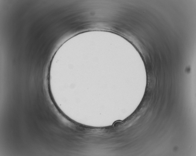 X0000116621387201001081222