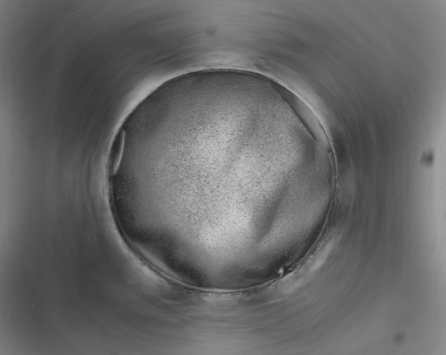 X0000116621389201001081222