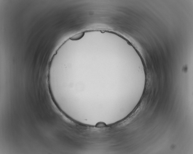 X0000116621390201001081222