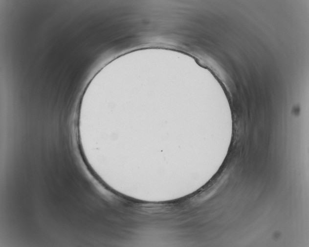 X0000116621391201001081222