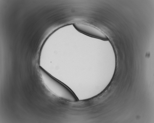 X0000116621392201001081222