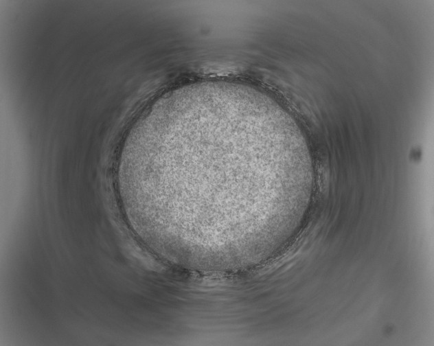 X0000116621393201001081222