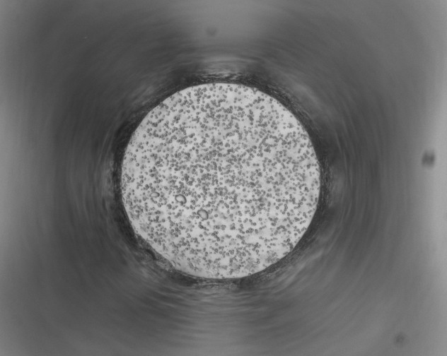 X0000116621394201001081222