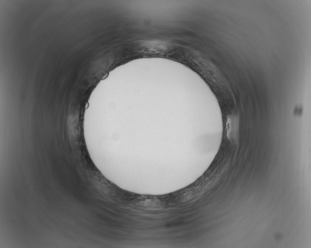 X0000116621395201001081222