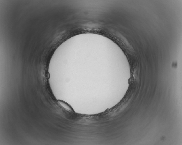 X0000116621396201001081222