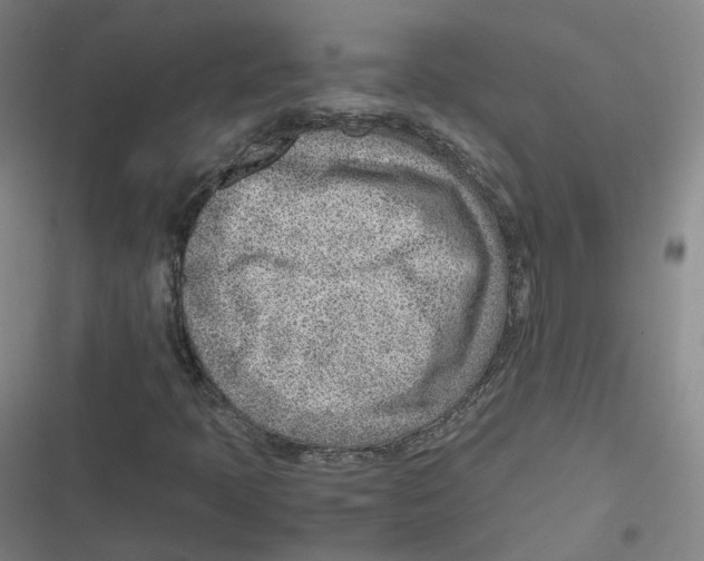 X0000116621397201001081222