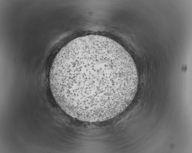 X0000116621398201001081222