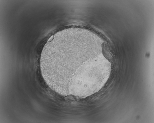 X0000116621399201001081222