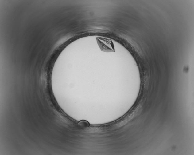 X0000116621402201001081222