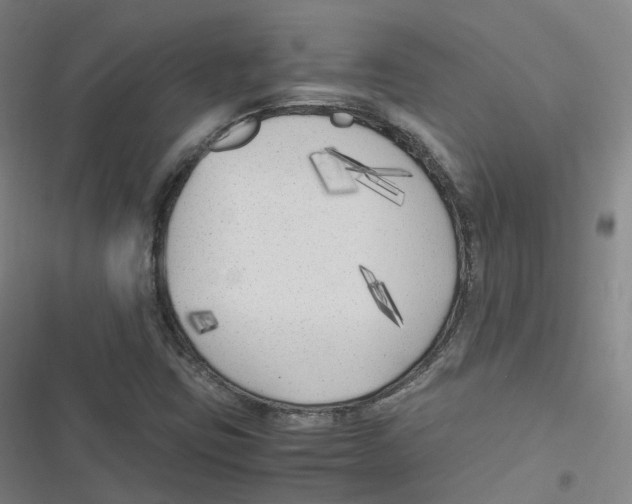 X0000116621403201001081222