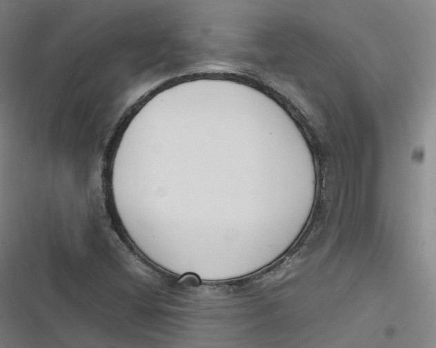 X0000116621404201001081222