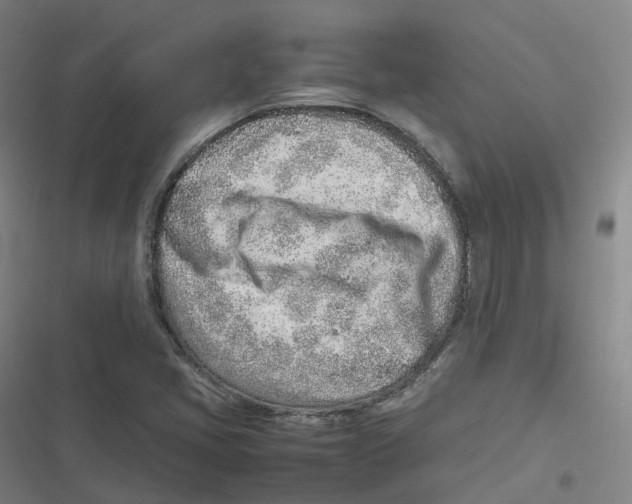 X0000116621405201001081222