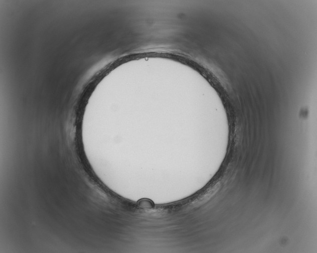 X0000116621406201001081222