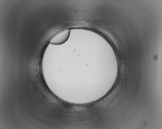 X0000116621407201001081222