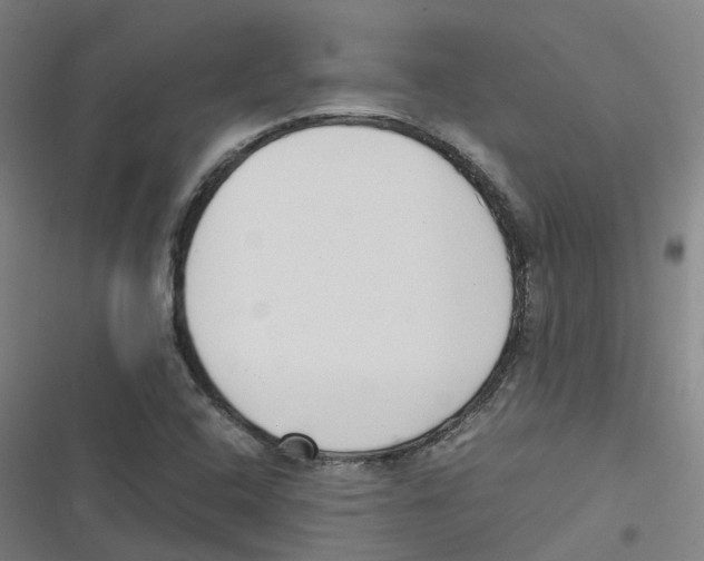 X0000116621408201001081222