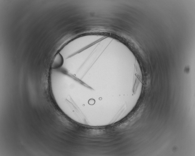 X0000116621409201001081222