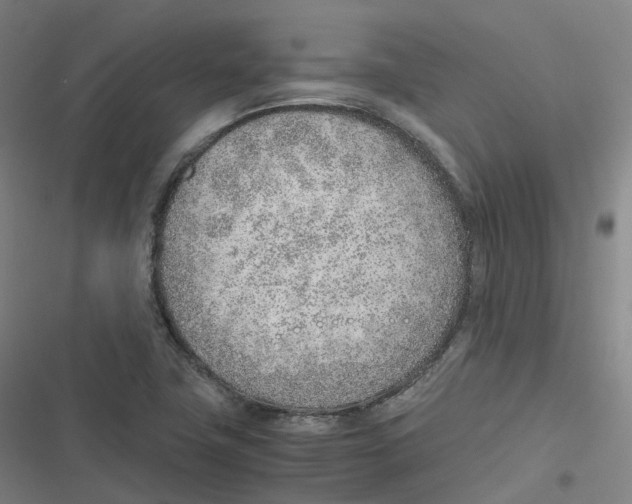 X0000116621411201001081222