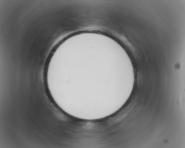 X0000116621412201001081222