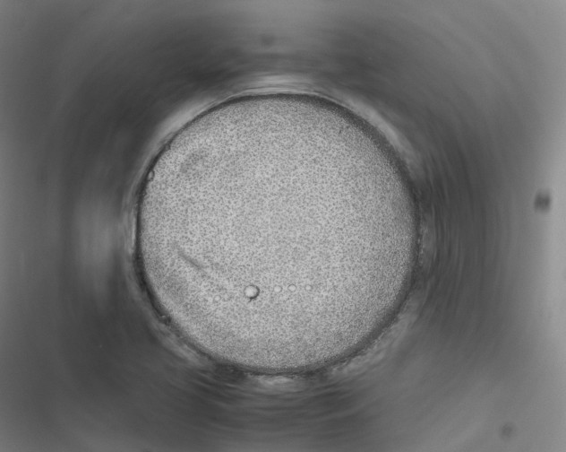 X0000116621413201001081222