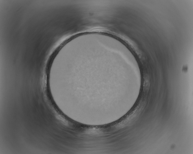 X0000116621414201001081222