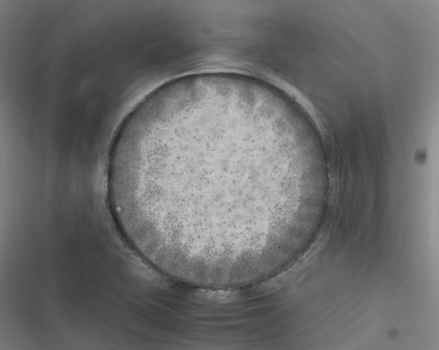 X0000116621415201001081222