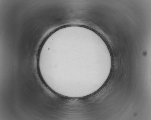 X0000116621416201001081222