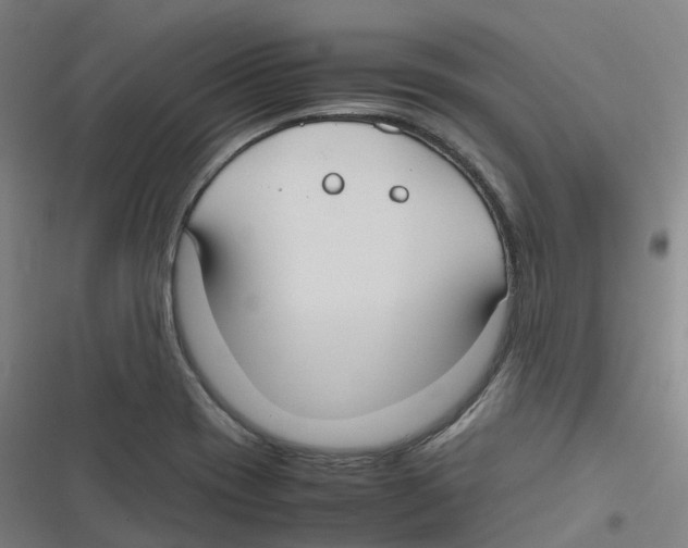 X0000116621417201001081222