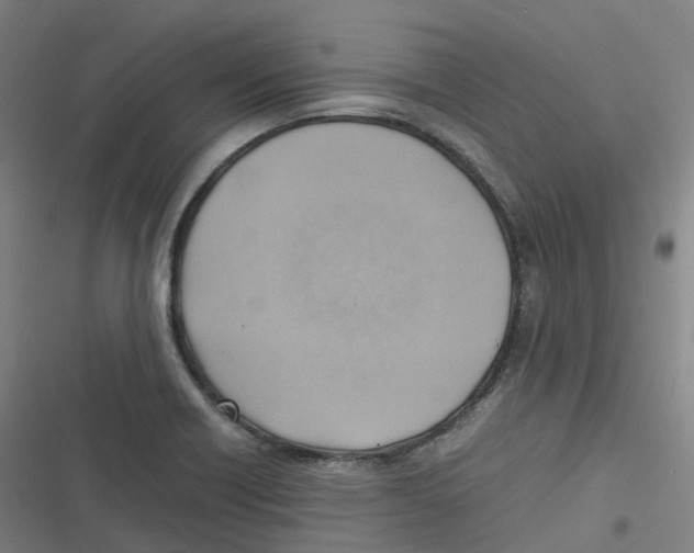 X0000116621418201001081222