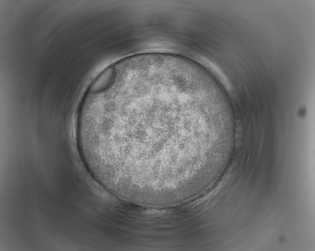 X0000116621419201001081222