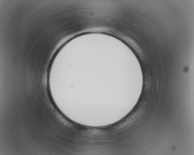 X0000116621420201001081222