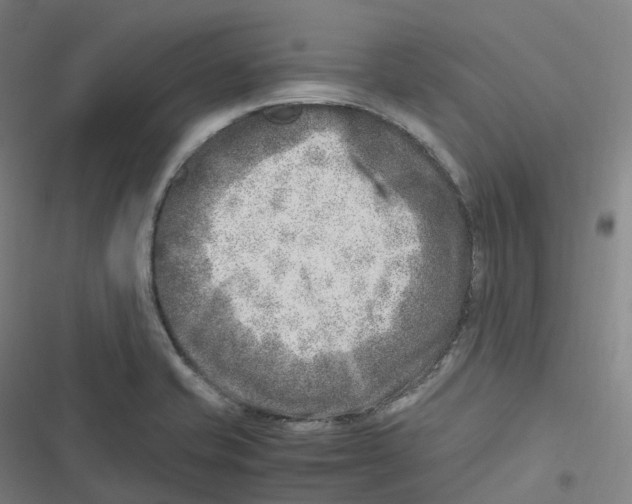 X0000116621421201001081222