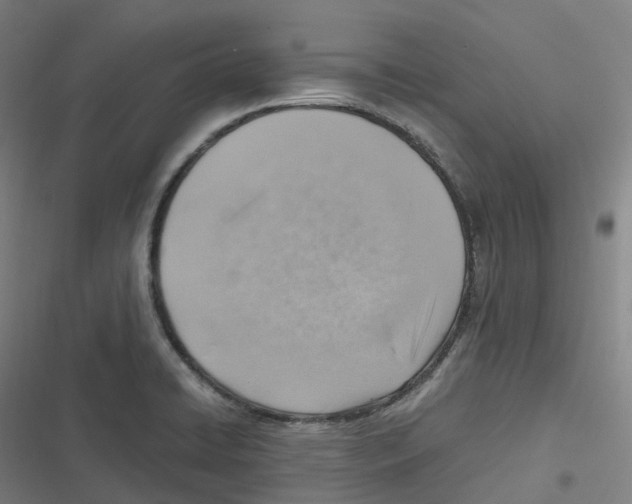 X0000116621422201001081222