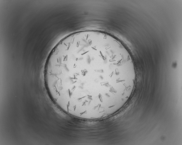 X0000116621423201001081222