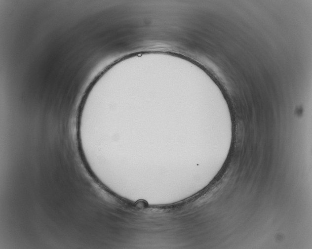 X0000116621424201001081222