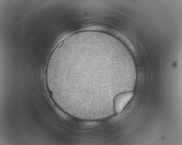 X0000116621425201001081222